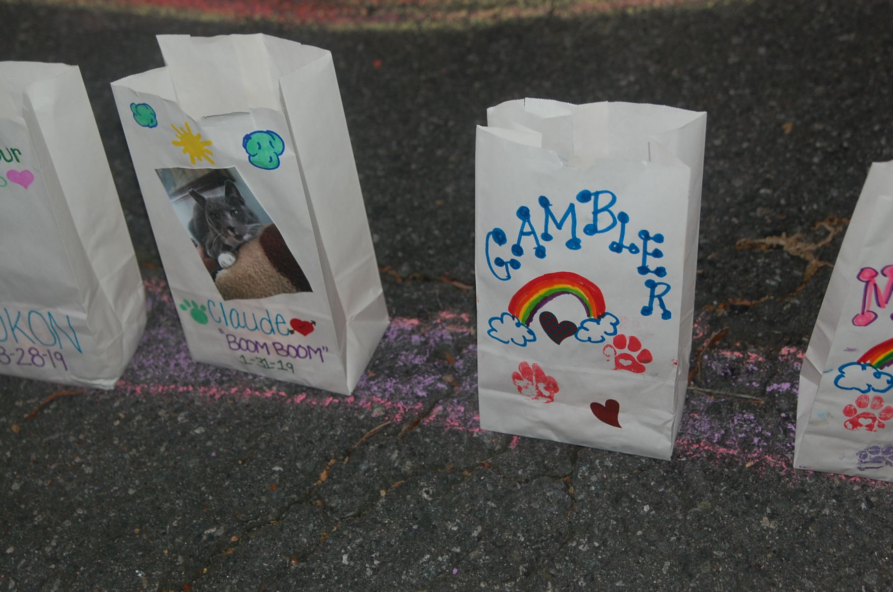 Pet Life celebration (25).JPG
